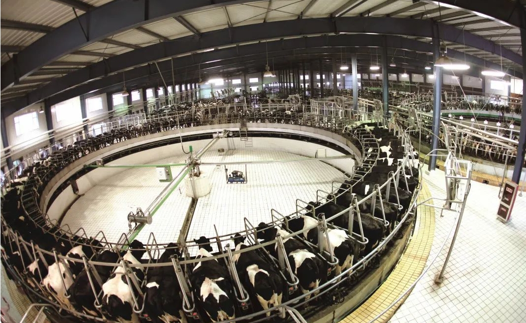 业绩快报解读｜原奶企业净利润面临集体下滑，今年局势仍难言扭转